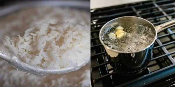 tropical rice weight loss